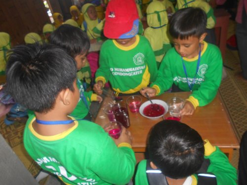 DSCN3448